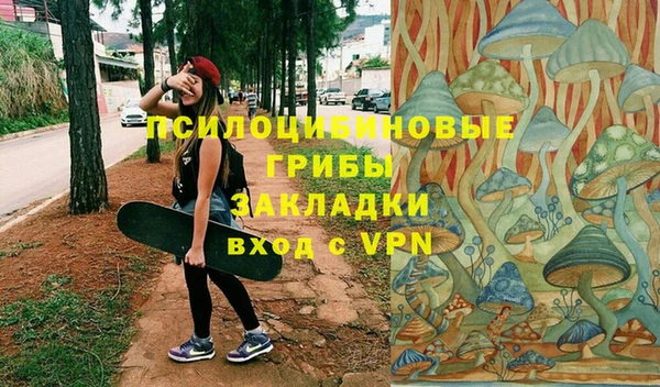 трава Наволоки