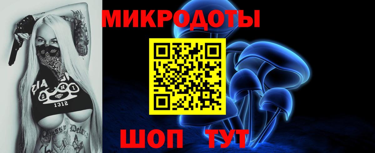 Галлюциногенные грибы прущие грибы Избербаш